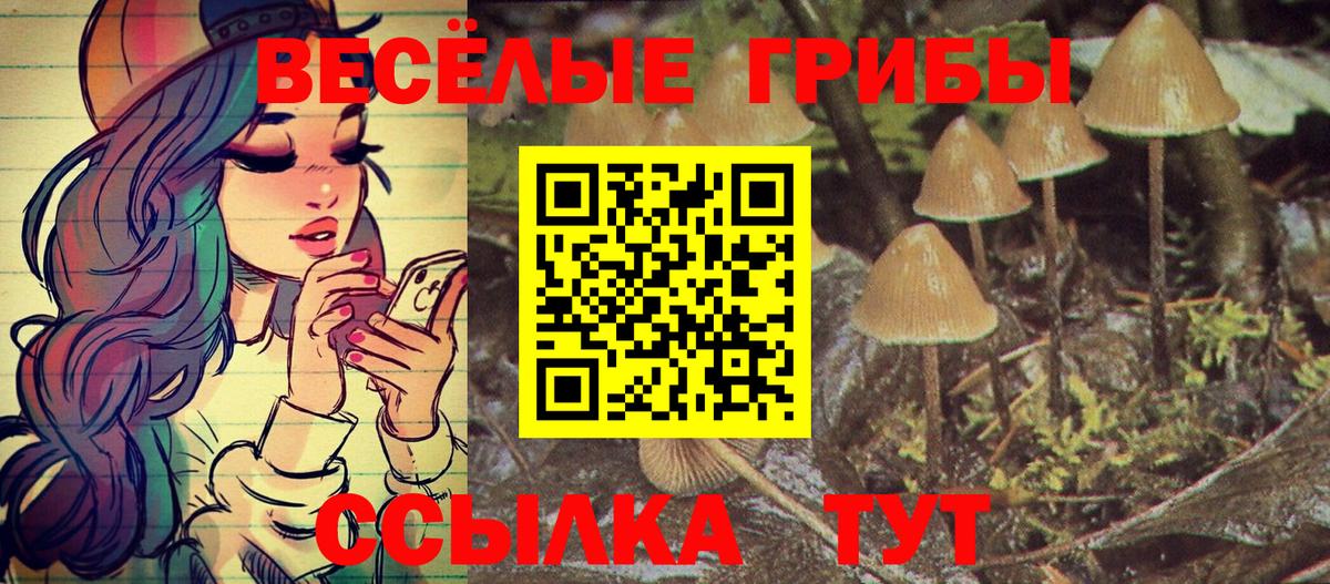 Дмитров  Псилоцибиновые грибы Psilocybe  Вход с VPN 