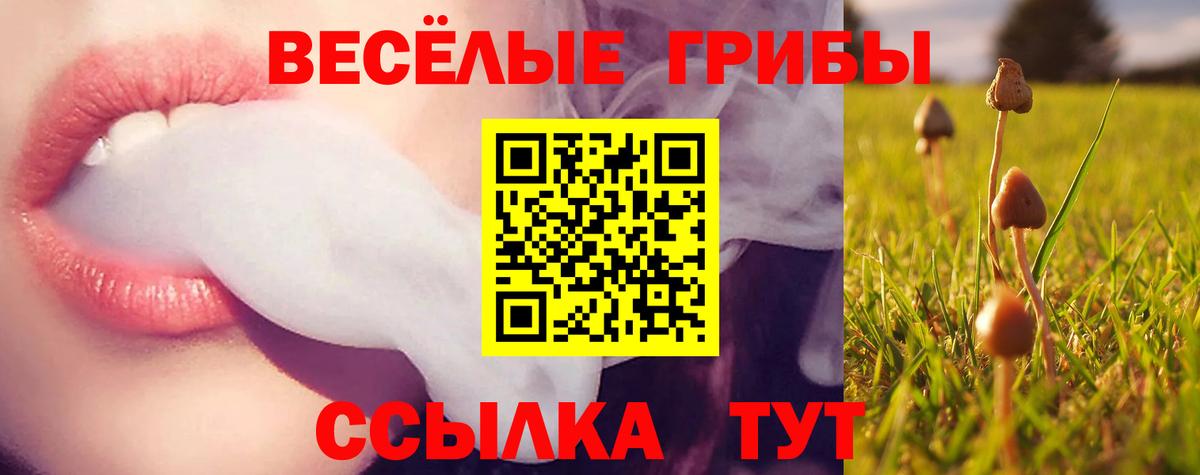 Псилоцибиновые грибы мухоморы Дмитров